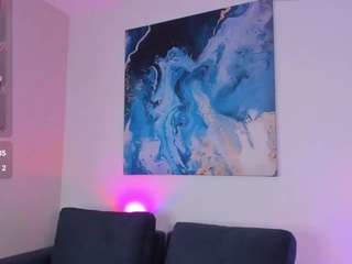 paris-miller webcam model stream image