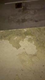 LadyViolet98 webcam model stream image