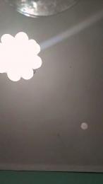 mica224 webcam model stream image