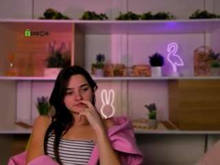 veri-ni webcam model stream image