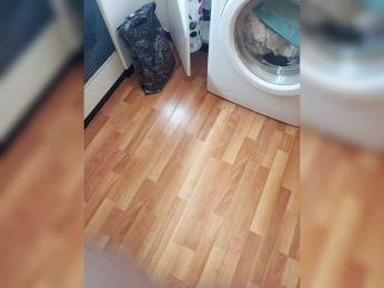 Aper77 webcam model stream image