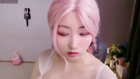 winter11 webcam model stream image
