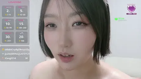 winter11 webcam model stream image