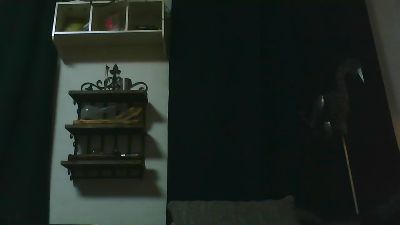 ErolDutch webcam model stream image