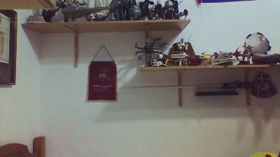 DaxthorCai webcam model stream image