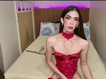 ts_alexa_ webcam model stream image