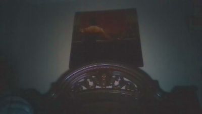 twistedsteel69 webcam model stream image