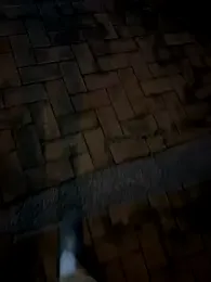 taitaiwun webcam model stream image