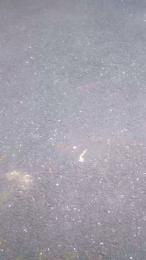 Alexutzu222222 webcam model stream image