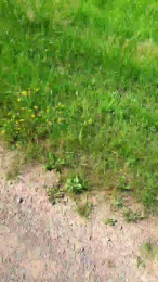 SaarlandBoy07 webcam model stream image