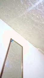 Melga02 webcam model stream image