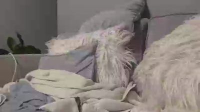 UndercoverDilf webcam model stream image