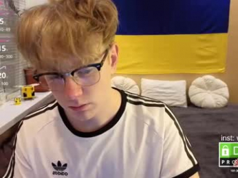 wesides webcam model stream image