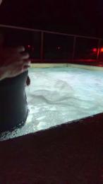 AmberSomner9555 webcam model stream image