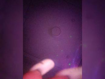 SentraMma25 webcam model stream image