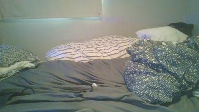 dalis6 webcam model stream image