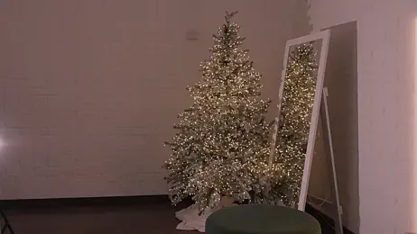 Faster_maci webcam model stream image