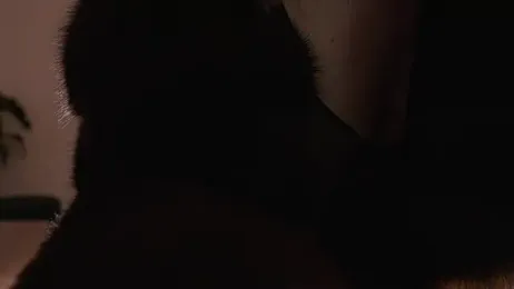 Faster_maci webcam model stream image