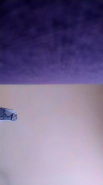 duerosse webcam model stream image