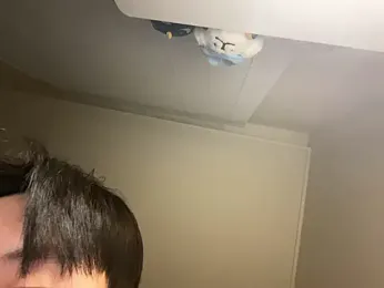 dvoi webcam stripchat model stream image