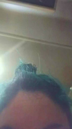 miichellemalv webcam model stream image