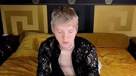 TRAVIS_CLAS webcam model stream image