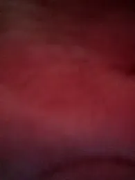 bullut06 webcam model stream image