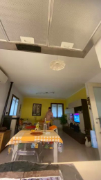 Homohard webcam model stream image