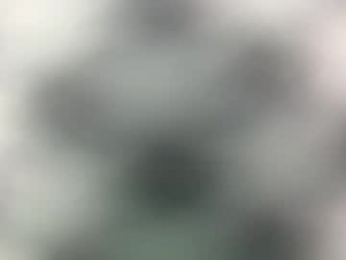 kaponeskynew webcam chaturbate model stream image
