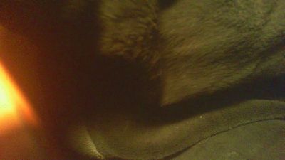 allblond1 webcam model stream image