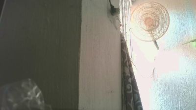 Just791 webcam model stream image