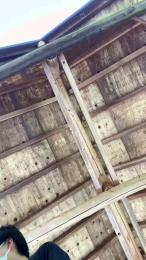 Masa8492 webcam model stream image