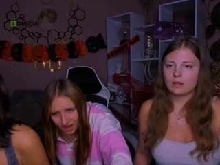 kleri-paint webcam model stream image