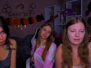 kleri-paint webcam model stream image