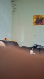 Vincent38183 webcam model stream image