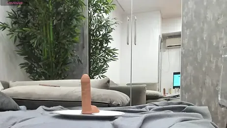 Diamond_Touch webcam model stream image