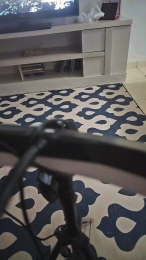Gynbrset webcam model stream image