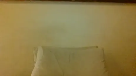Icepappi webcam model stream image