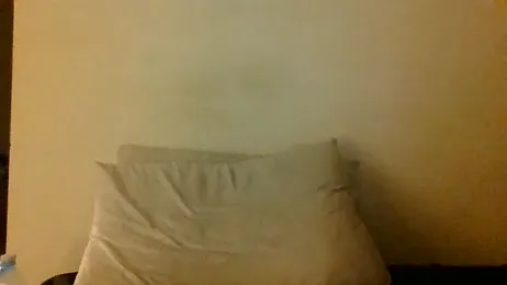 Icepappi webcam model stream image