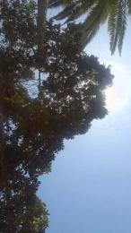 ioanacrazy4 webcam model stream image