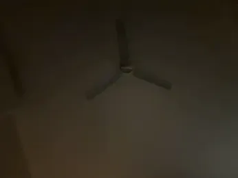 Reggyrabbit webcam model stream image