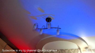 Cactus_James webcam model stream image