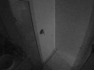 voyeurcam-casa-salsa-bathroom-7 webcam model stream image