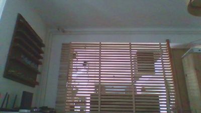 youngandmmm webcam model stream image