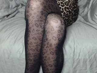 lana-legs53 webcam model stream image