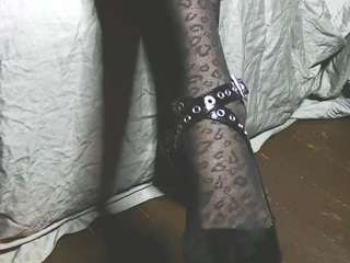 lana-legs53 webcam model stream image