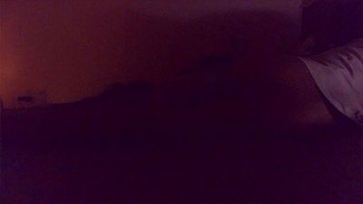 panpee1 webcam model stream image