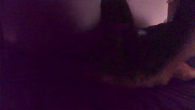 panpee1 webcam model stream image