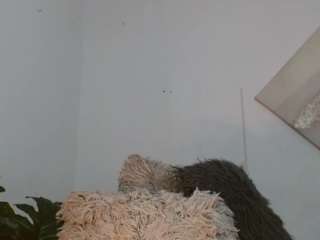 sweettsalomet666 webcam model stream image