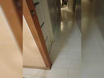 GTZET webcam model stream image